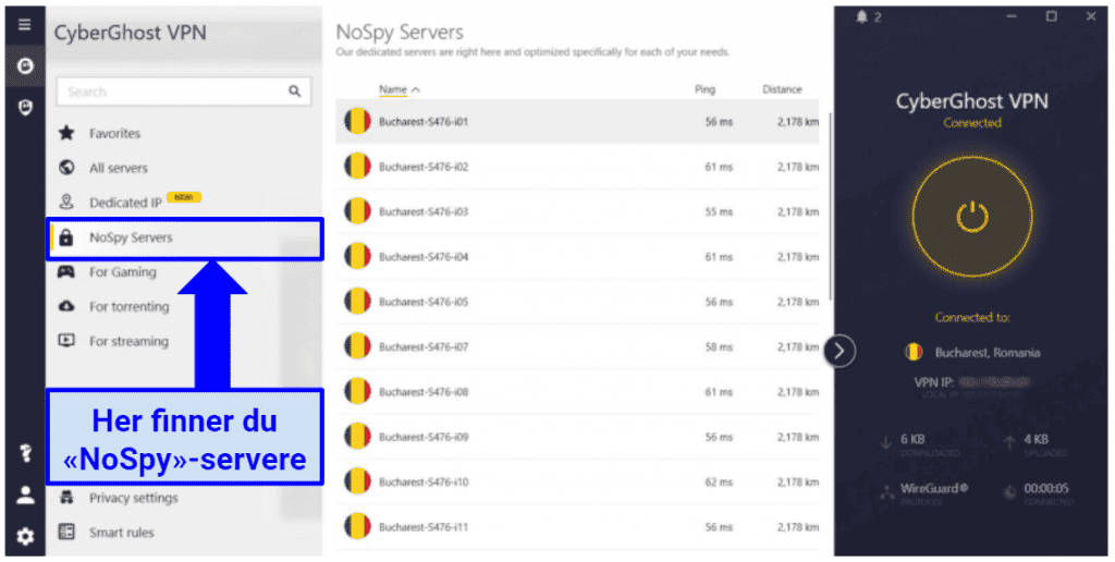 graphic showing NoSpy servers