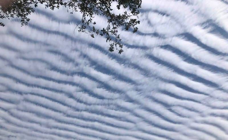 Undulatus clouds look like wavy rows