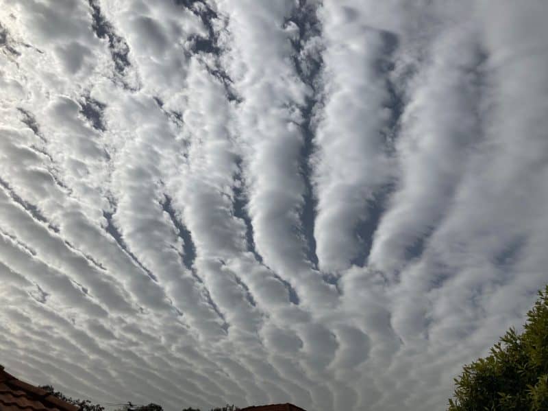 Undulatus clouds look like wavy rows