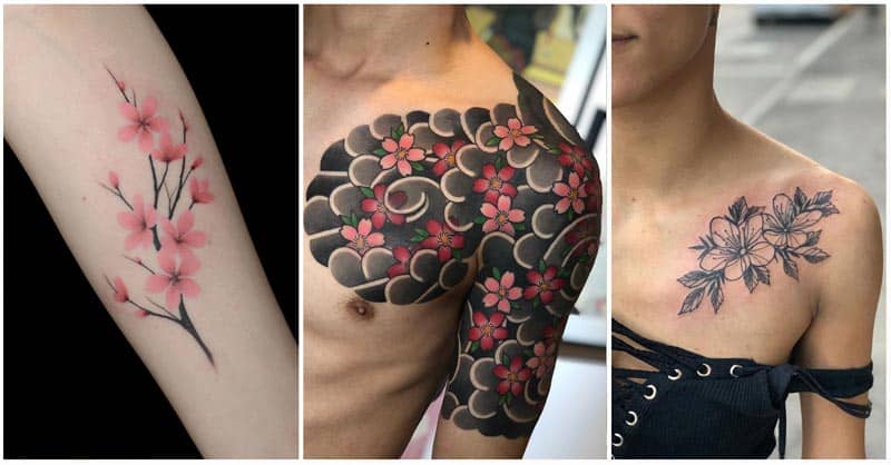 Sakura Tattoo: 3 designs