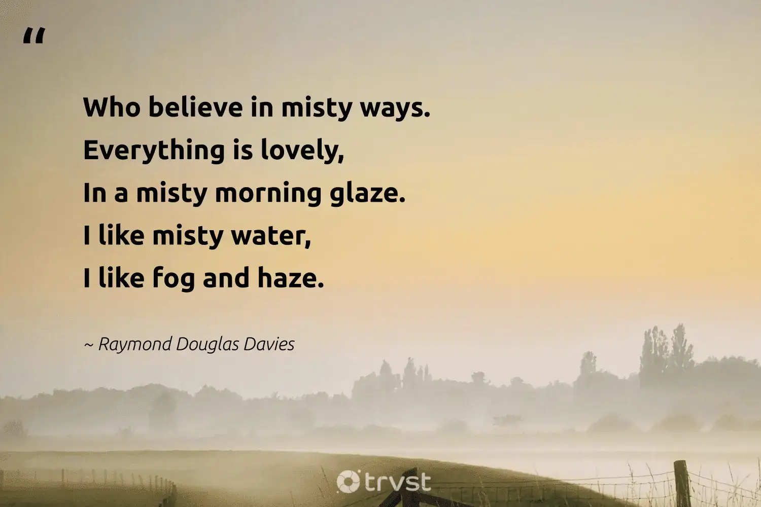 66 Fog Quotes for Those Quiet Misty Morning Reflections (2024)