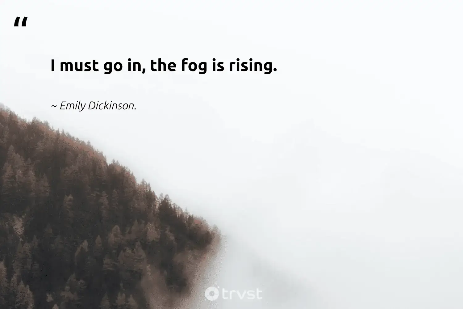 66 Fog Quotes for Those Quiet Misty Morning Reflections (2024)