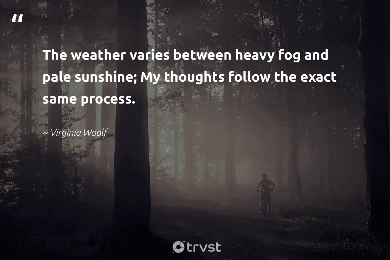 66 Fog Quotes for Those Quiet Misty Morning Reflections (2024)