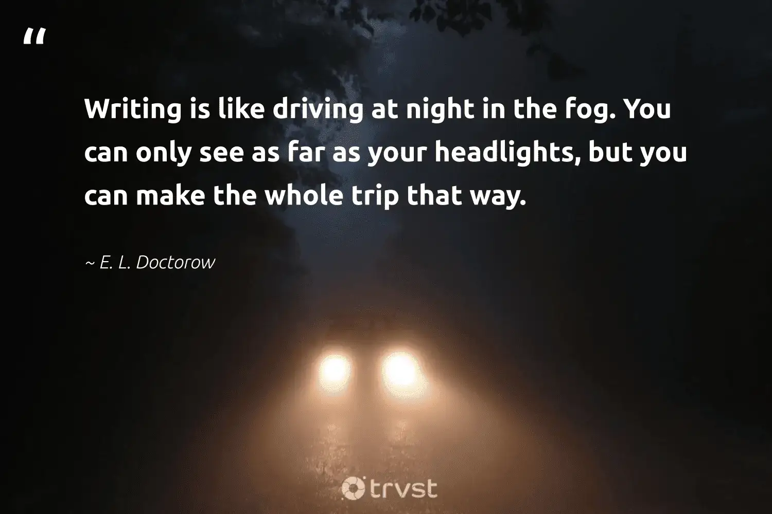 66 Fog Quotes for Those Quiet Misty Morning Reflections (2024)