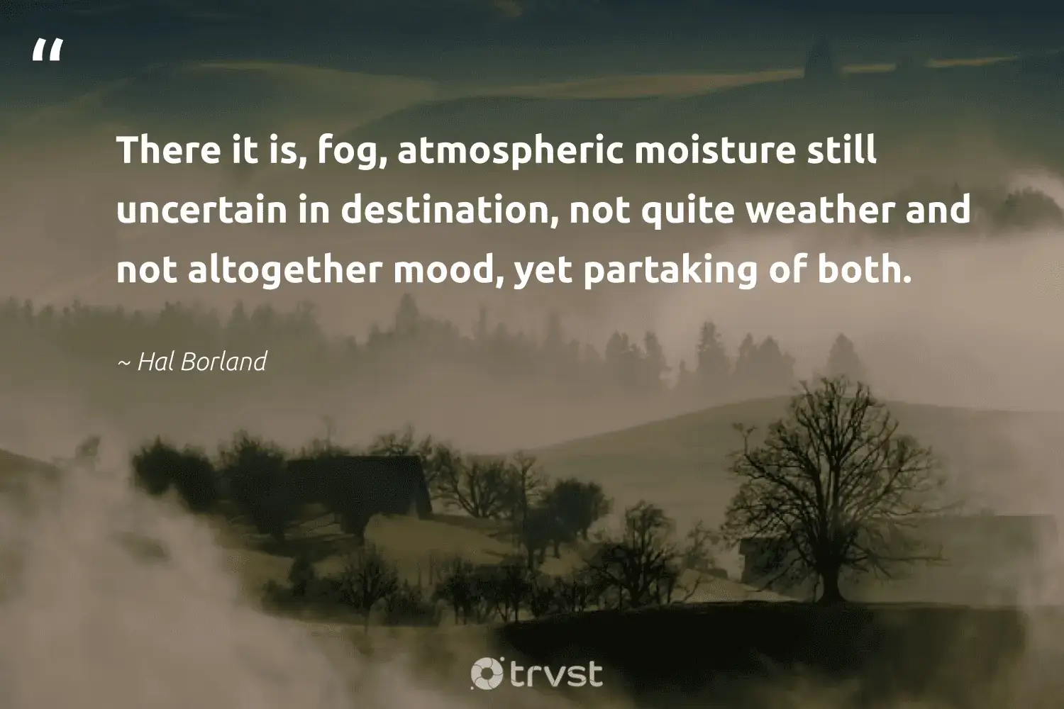 66 Fog Quotes for Those Quiet Misty Morning Reflections (2024)