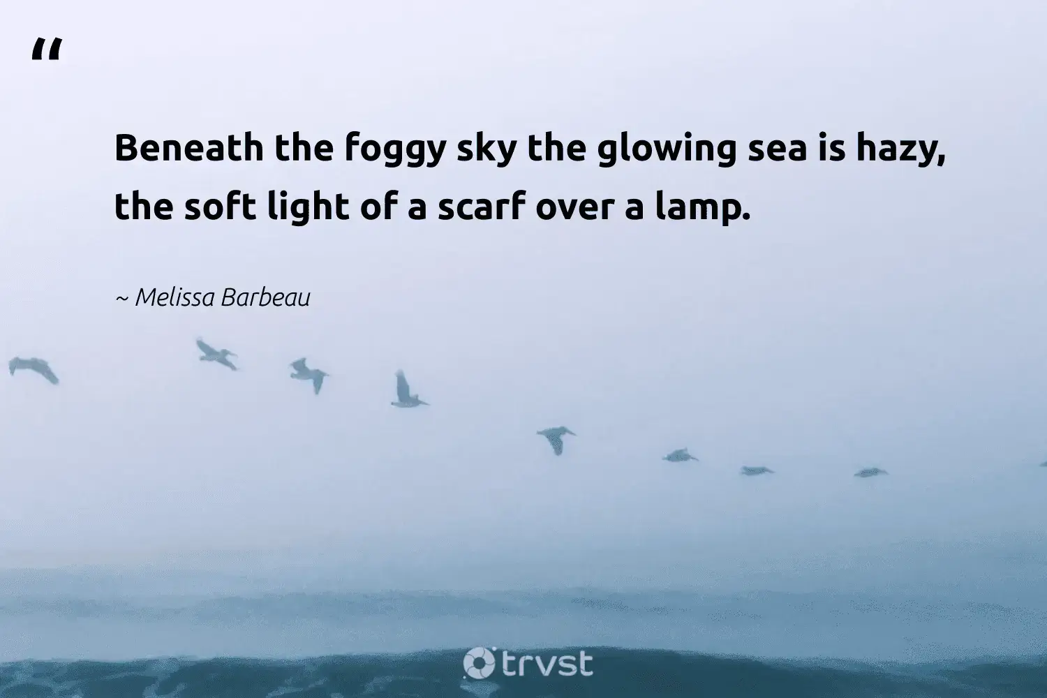 66 Fog Quotes for Those Quiet Misty Morning Reflections (2024)