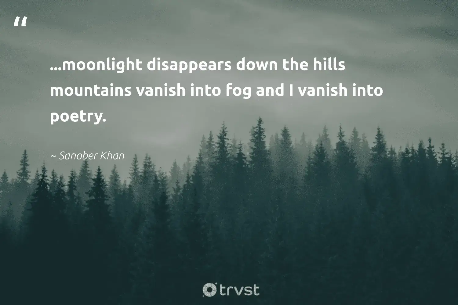 66 Fog Quotes for Those Quiet Misty Morning Reflections (2024)