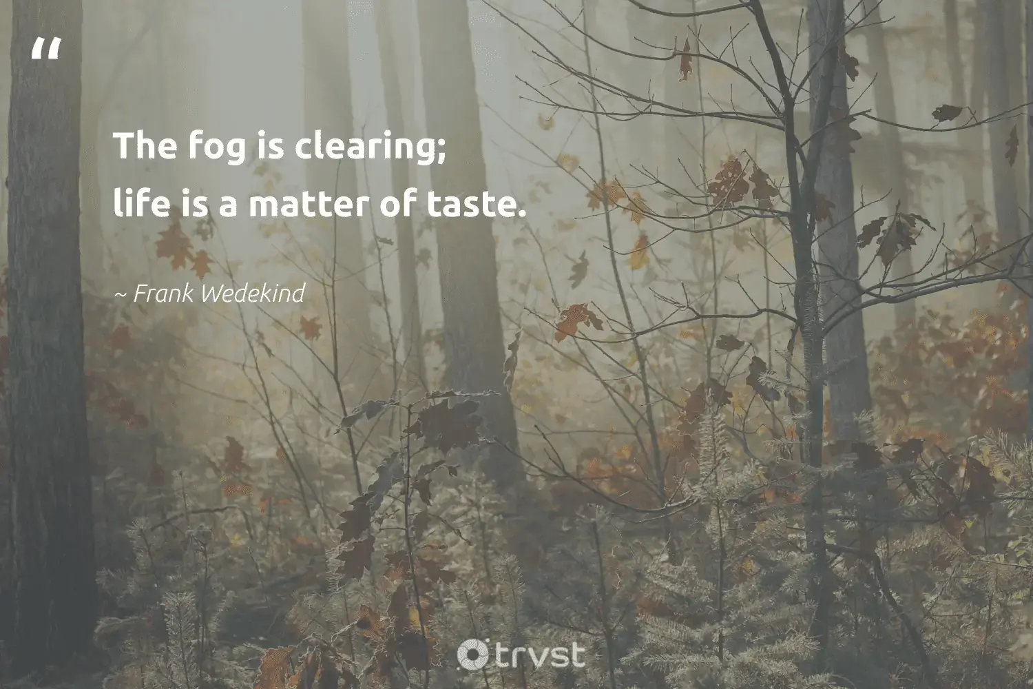 66 Fog Quotes for Those Quiet Misty Morning Reflections (2024)