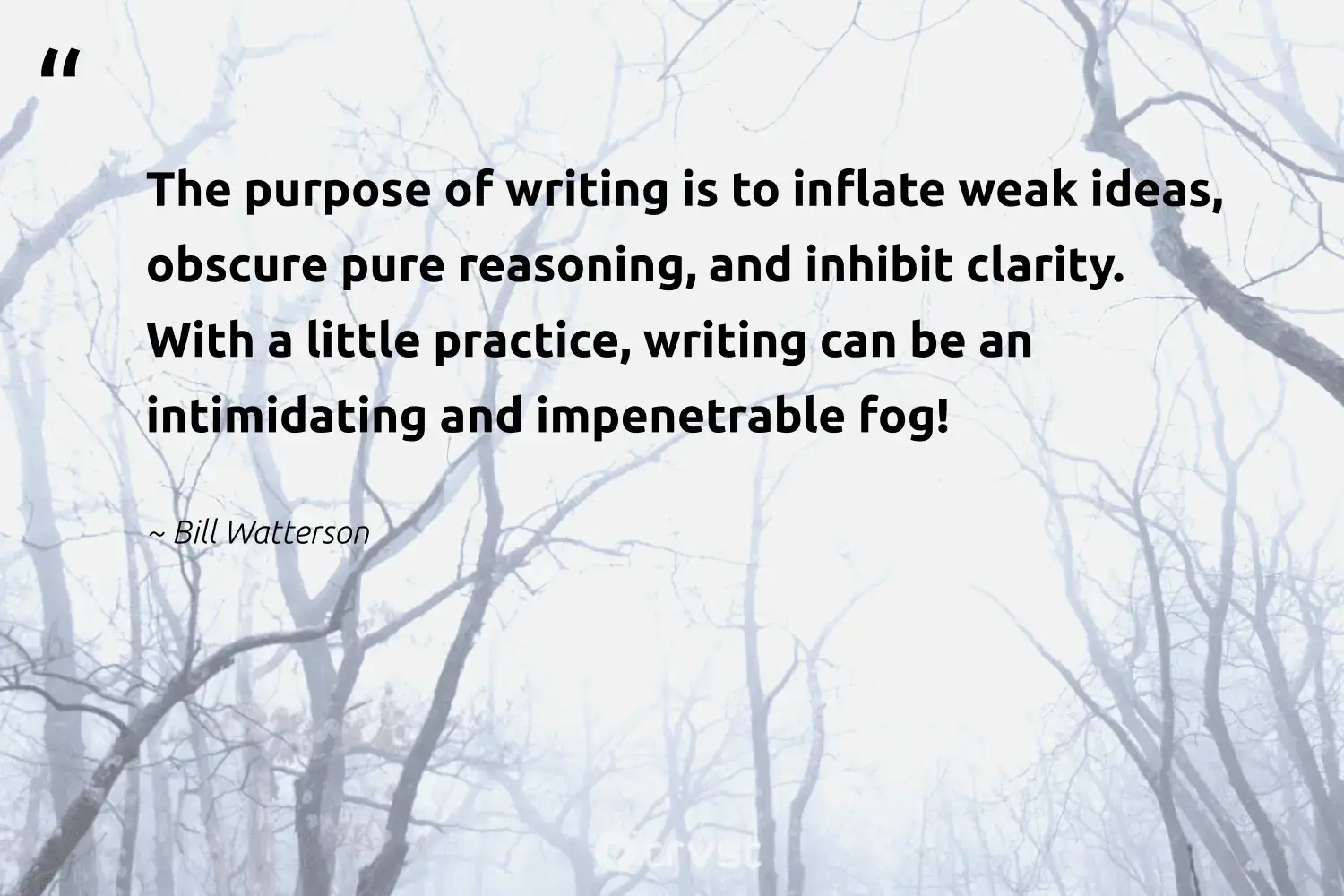 66 Fog Quotes for Those Quiet Misty Morning Reflections (2024)