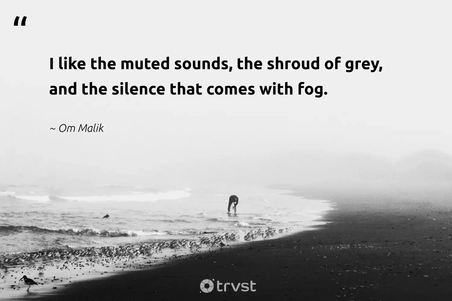 66 Fog Quotes for Those Quiet Misty Morning Reflections (2024)