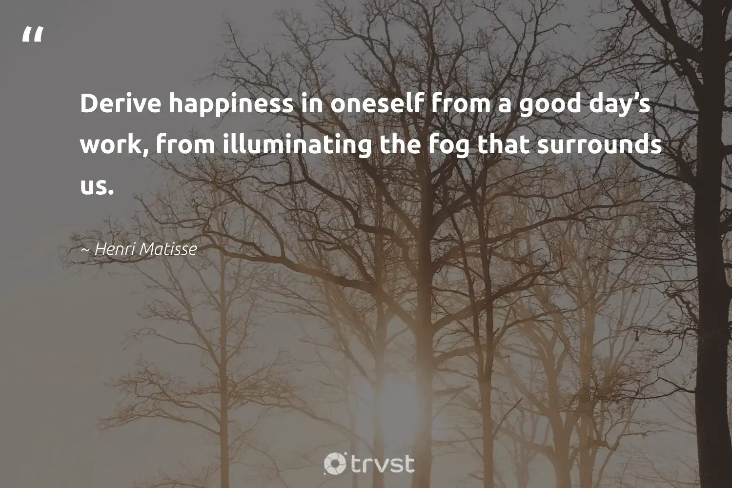 66 Fog Quotes for Those Quiet Misty Morning Reflections (2024)