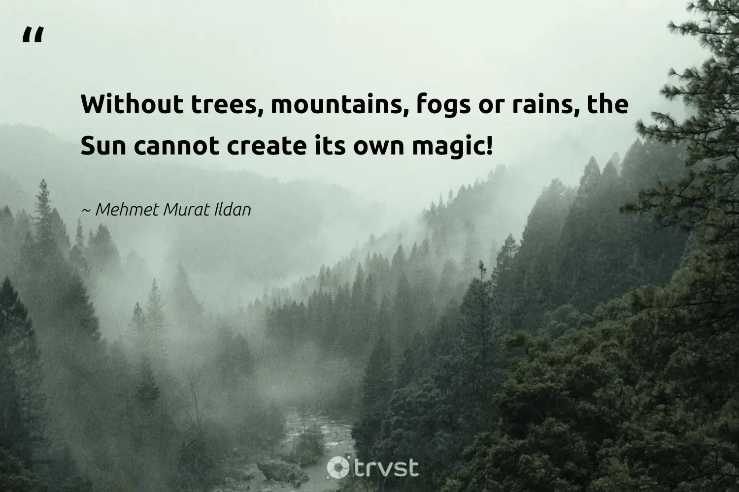 66 Fog Quotes for Those Quiet Misty Morning Reflections (2024)