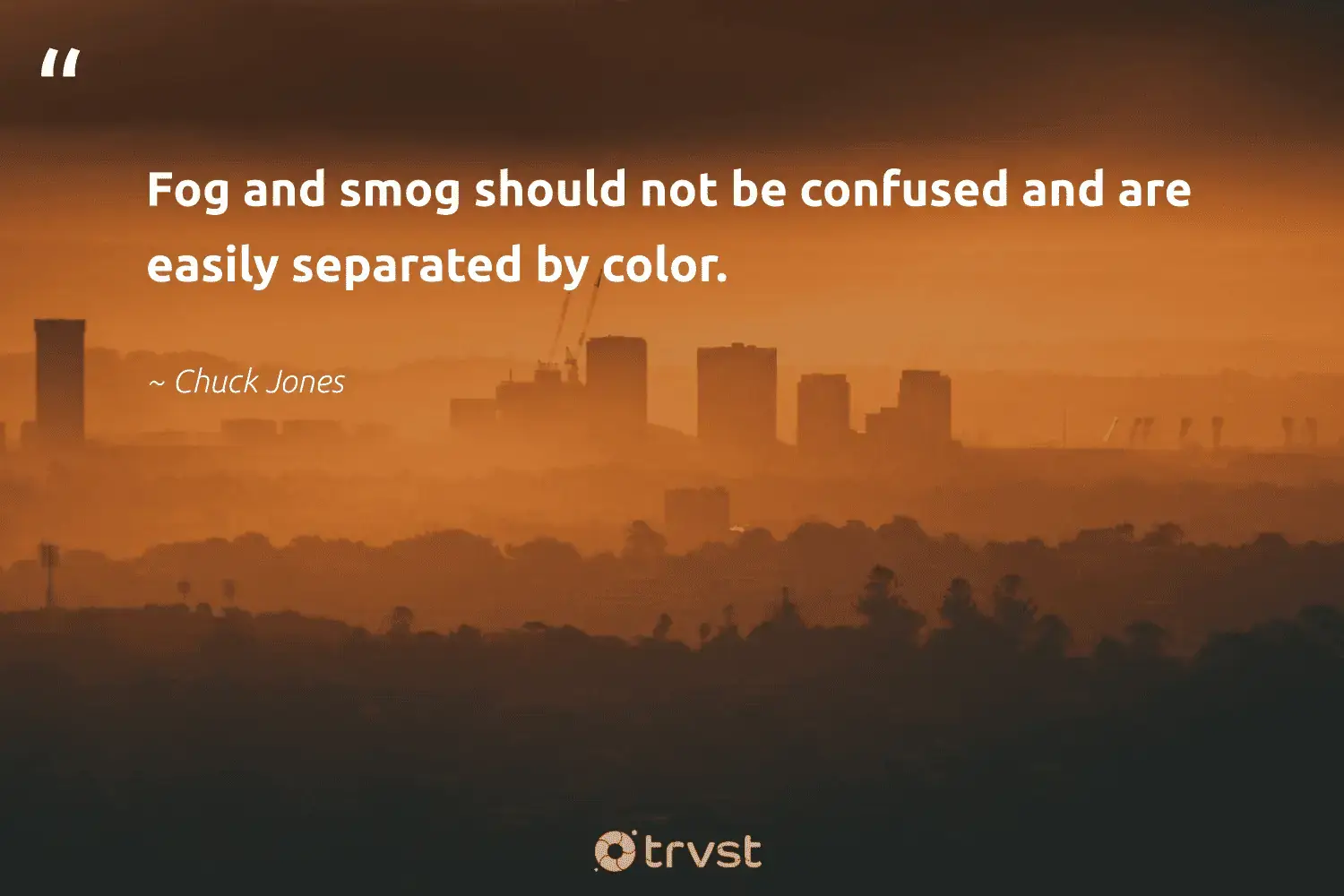 66 Fog Quotes for Those Quiet Misty Morning Reflections (2024)