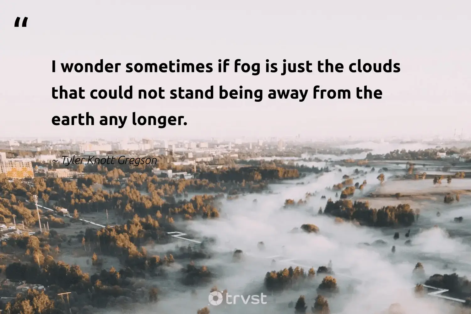 66 Fog Quotes for Those Quiet Misty Morning Reflections (2024)