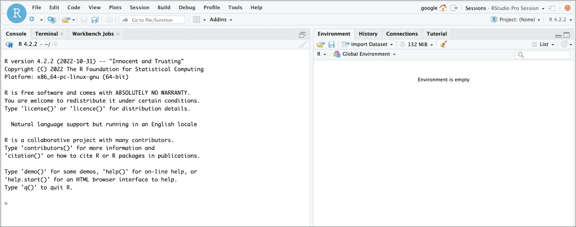 使用 Posit Workbench（包括 RStudio Pro）开发代码