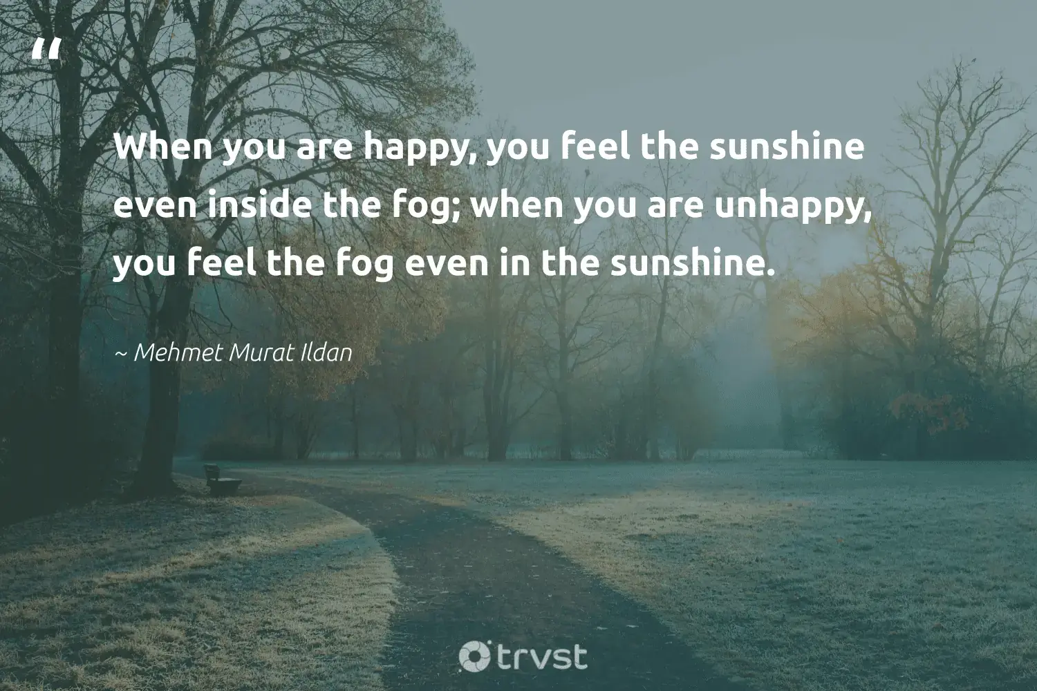 66 Fog Quotes for Those Quiet Misty Morning Reflections (2024)