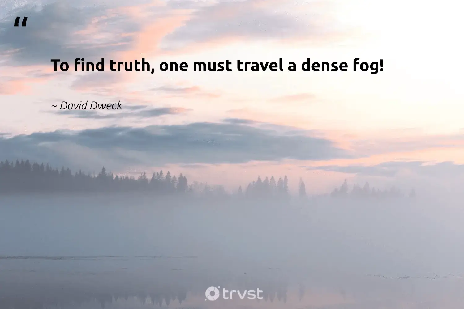 66 Fog Quotes for Those Quiet Misty Morning Reflections (2024)