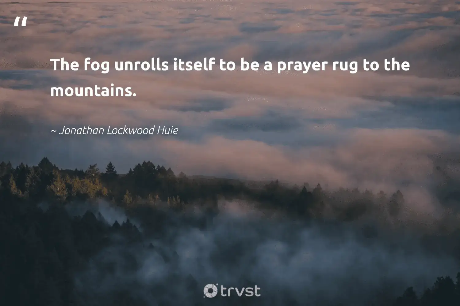 66 Fog Quotes for Those Quiet Misty Morning Reflections (2024)