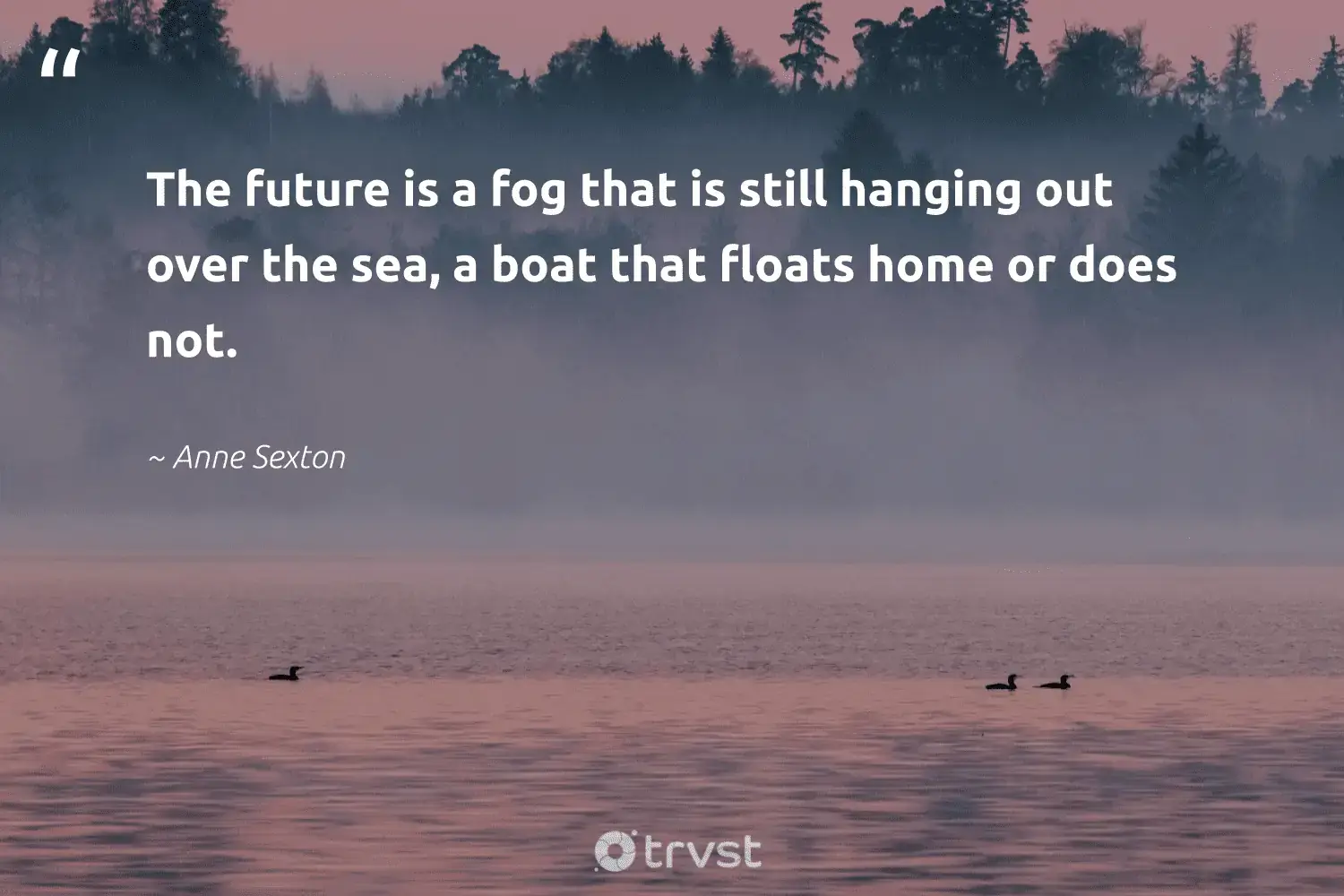 66 Fog Quotes for Those Quiet Misty Morning Reflections (2024)