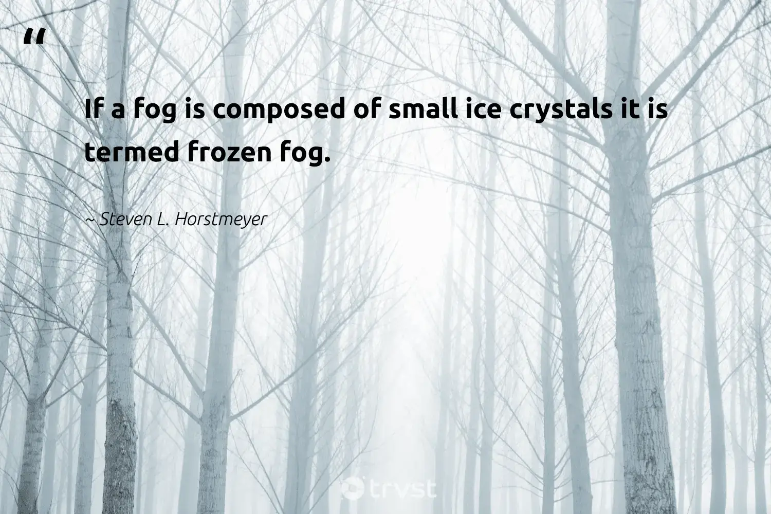 66 Fog Quotes for Those Quiet Misty Morning Reflections (2024)