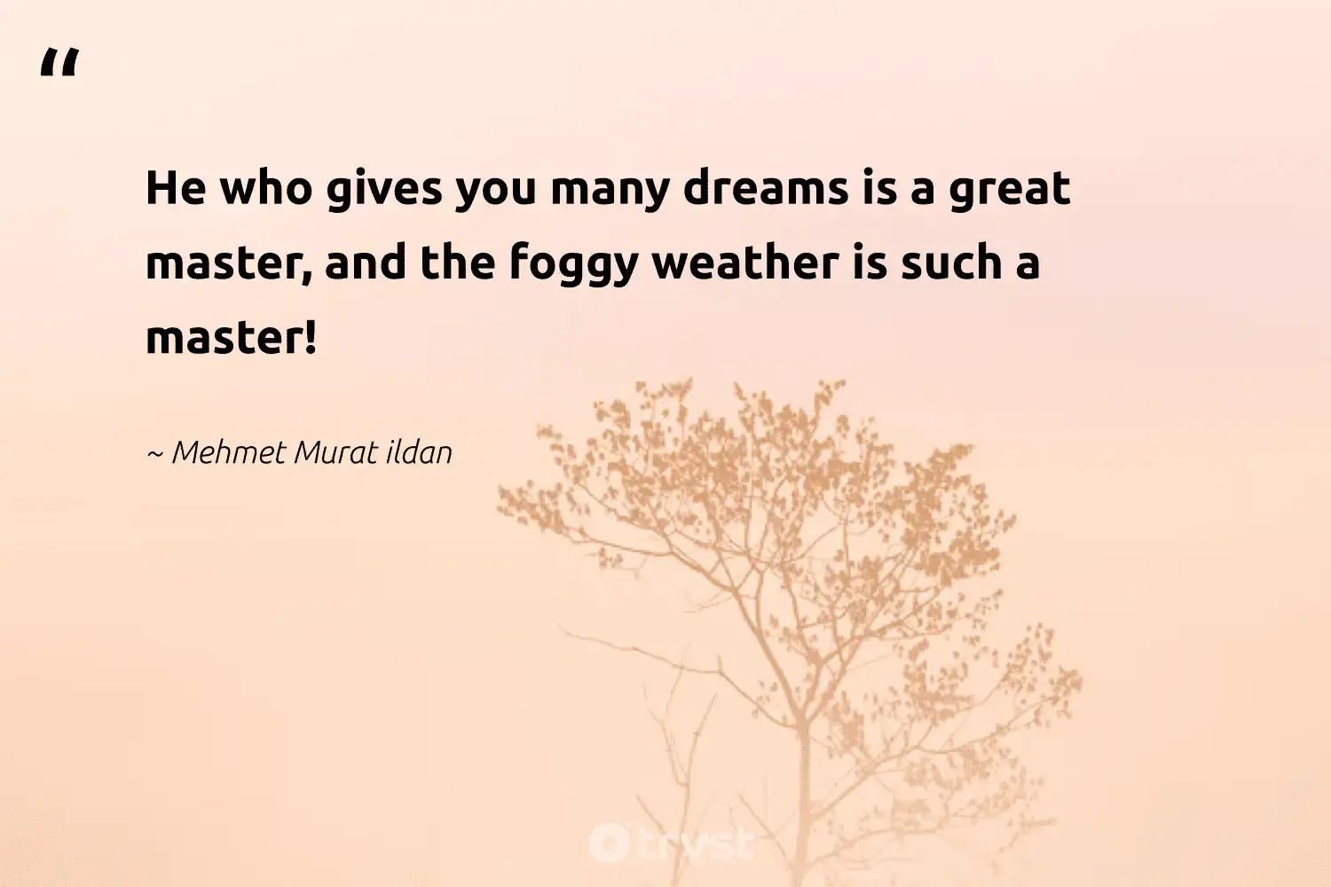 66 Fog Quotes for Those Quiet Misty Morning Reflections (2024)