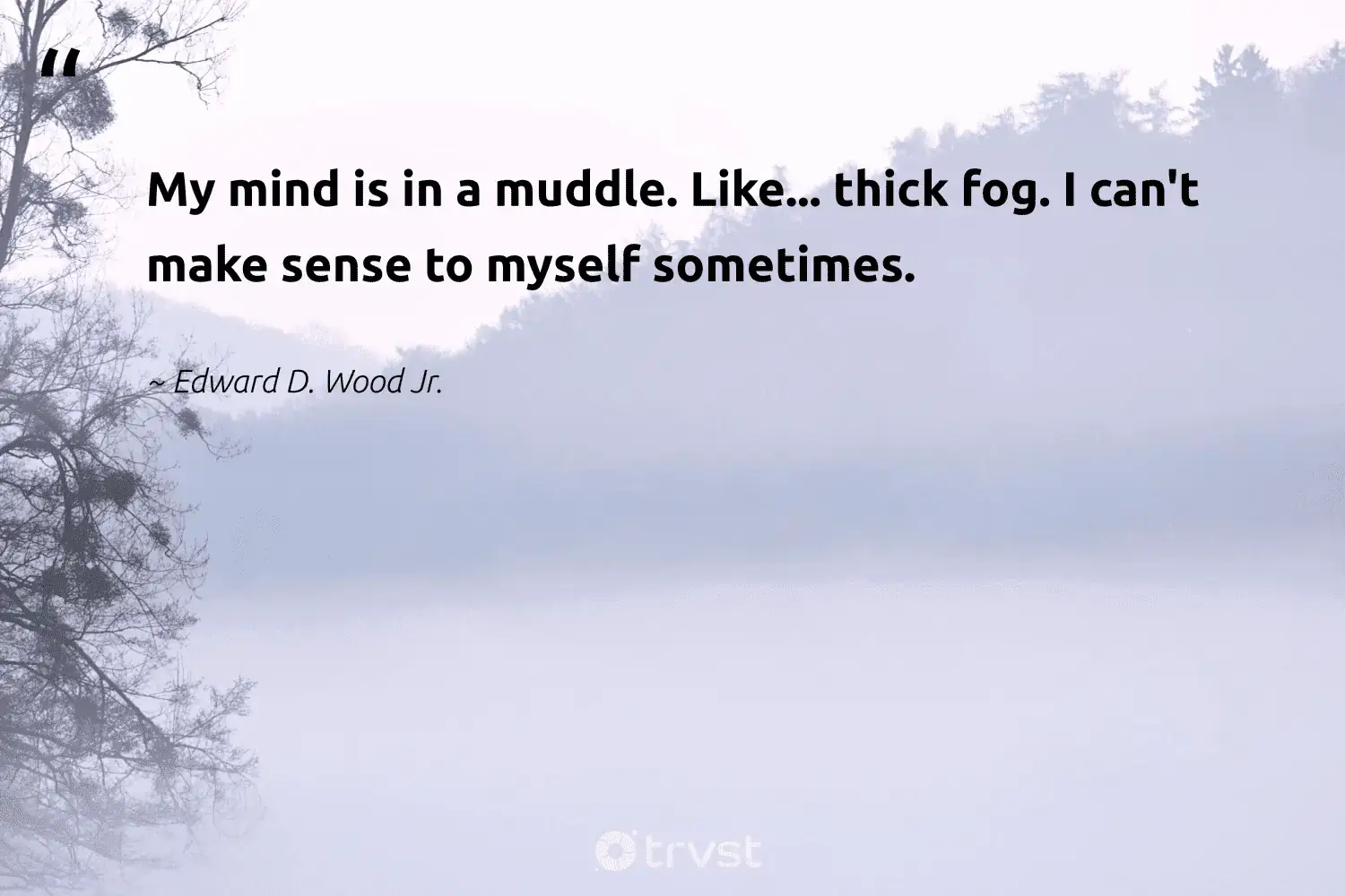 66 Fog Quotes for Those Quiet Misty Morning Reflections (2024)