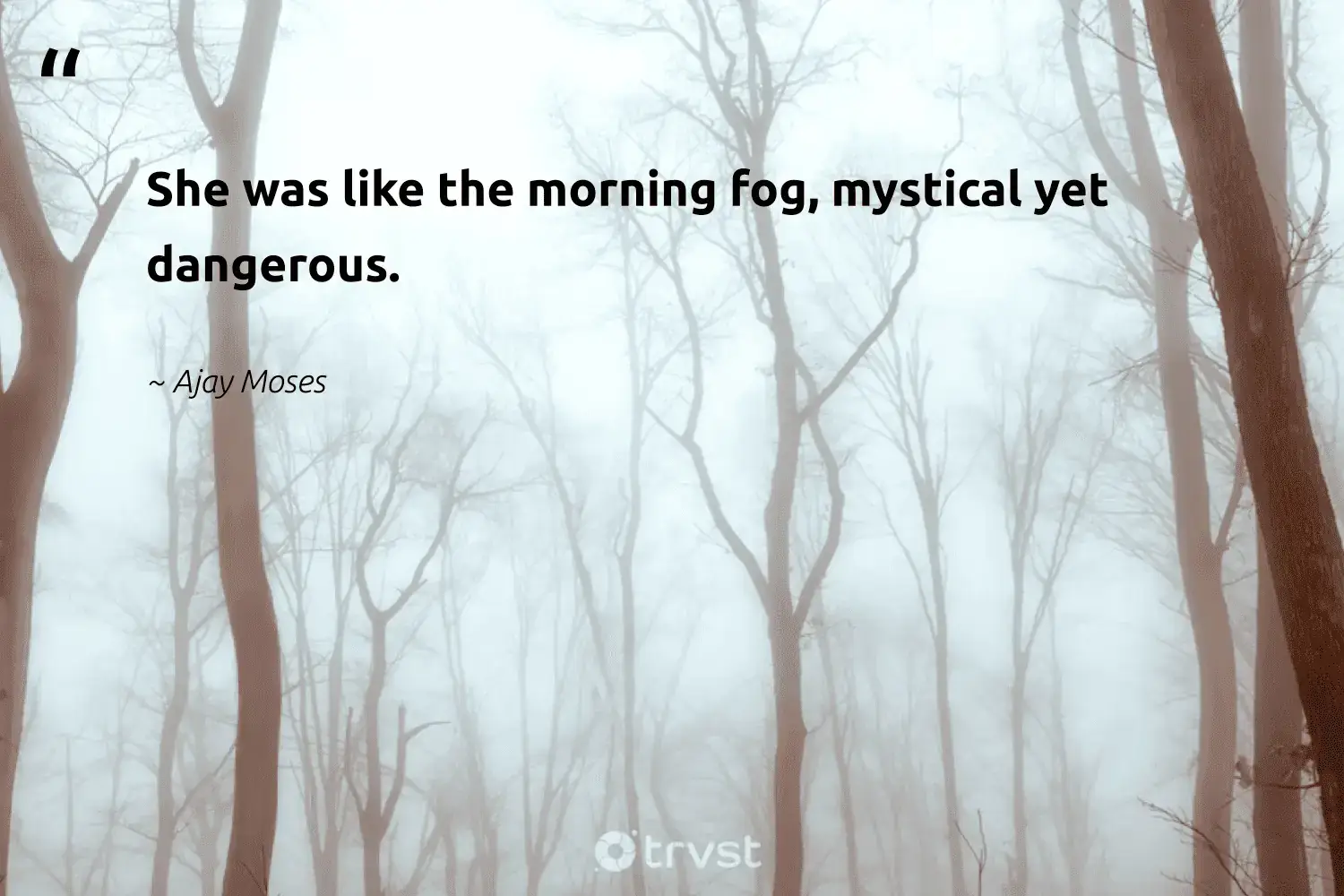 66 Fog Quotes for Those Quiet Misty Morning Reflections (2024)
