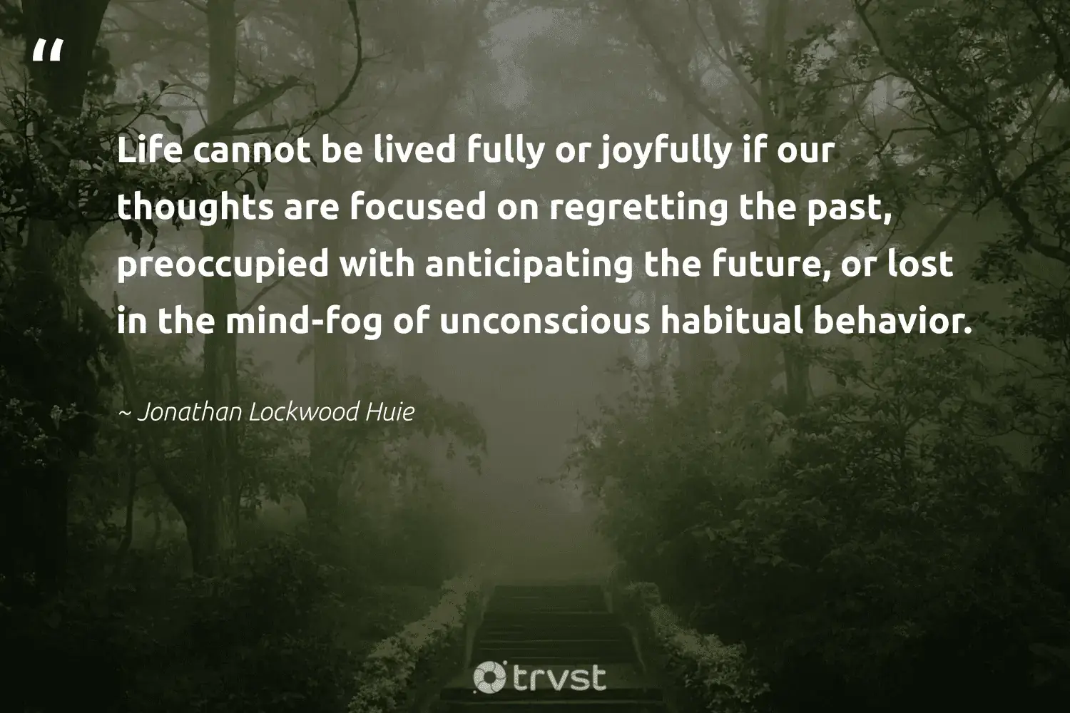 66 Fog Quotes for Those Quiet Misty Morning Reflections (2024)