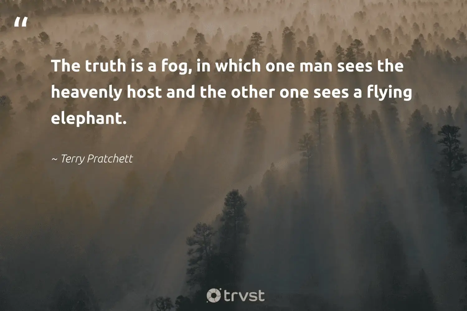 66 Fog Quotes for Those Quiet Misty Morning Reflections (2024)