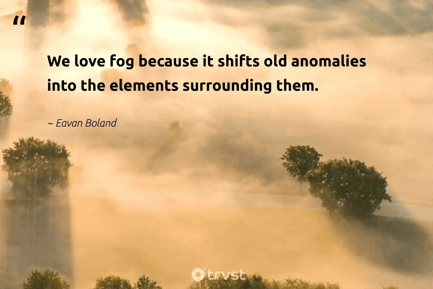 66 Fog Quotes for Those Quiet Misty Morning Reflections (2024)