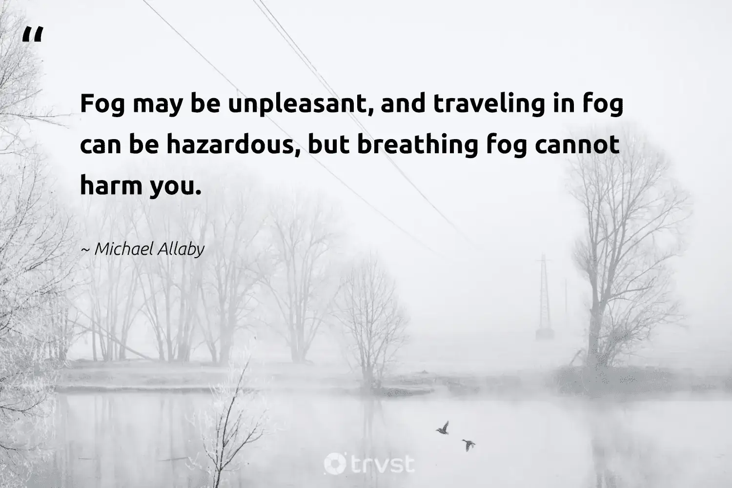 66 Fog Quotes for Those Quiet Misty Morning Reflections (2024)