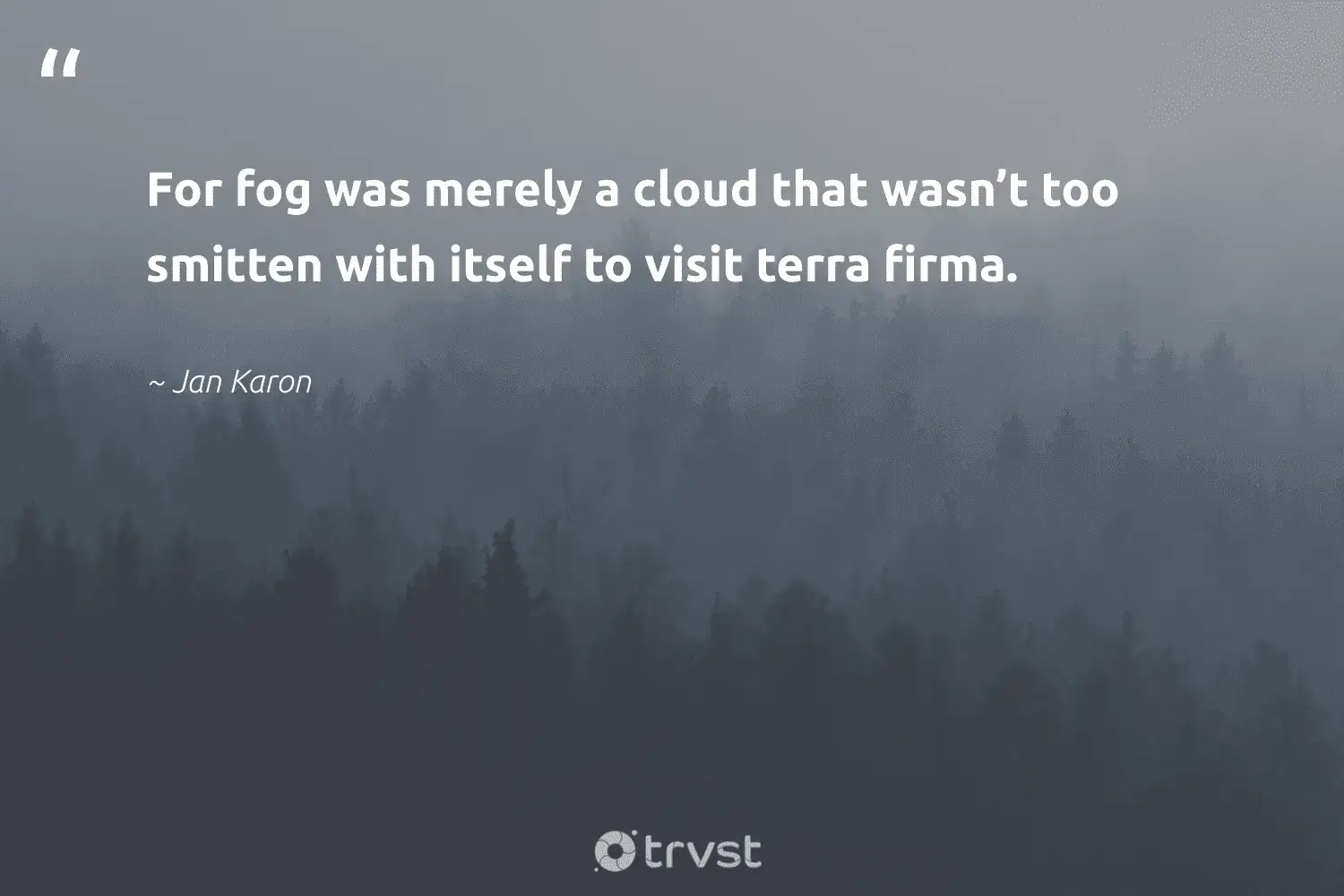 66 Fog Quotes for Those Quiet Misty Morning Reflections (2024)