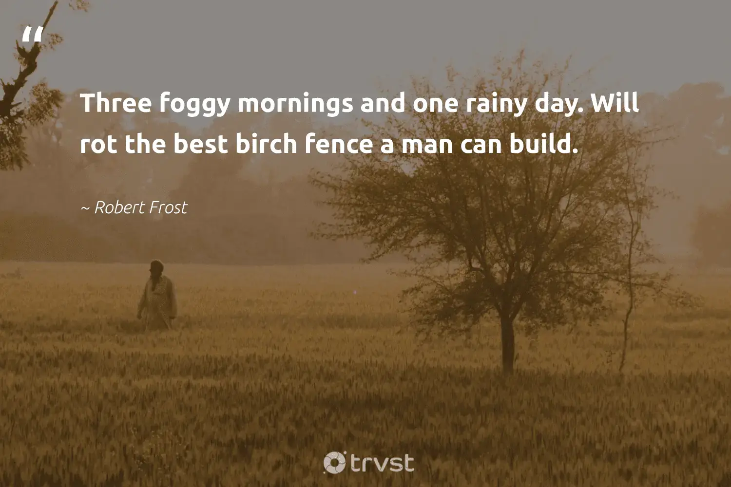 66 Fog Quotes for Those Quiet Misty Morning Reflections (2024)