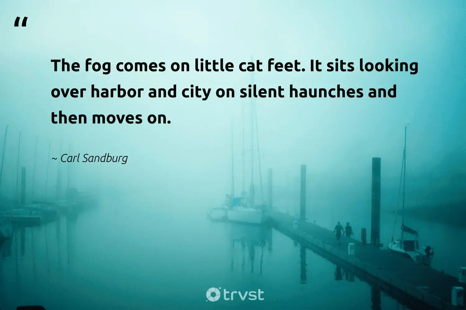 66 Fog Quotes for Those Quiet Misty Morning Reflections (2024)