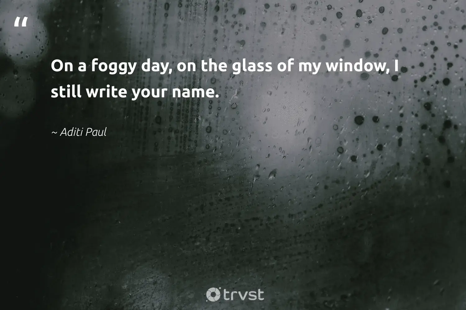 66 Fog Quotes for Those Quiet Misty Morning Reflections (2024)