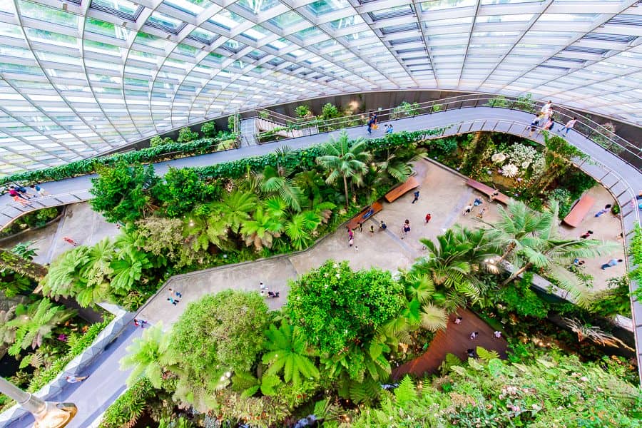 【新加坡濱海灣花園景點】天空樹、空中步道、花穹、霧林溫室怎麼玩（含門票與交通攻略）
