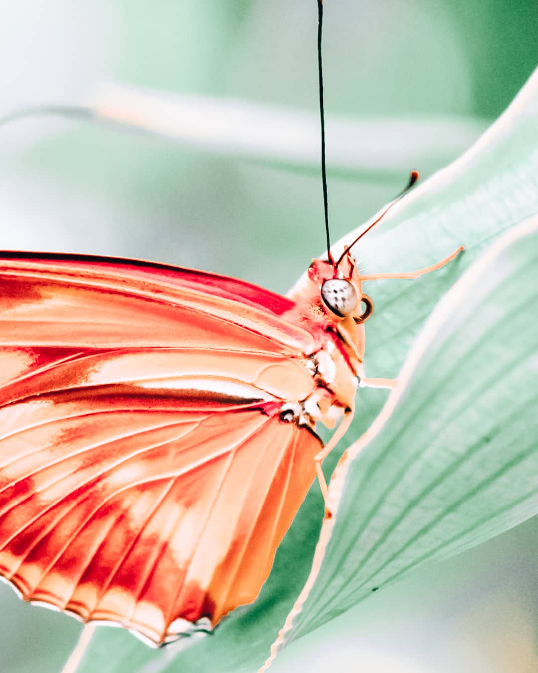 101 Date Ideas in Houston: Romantic Things To Do in Houston