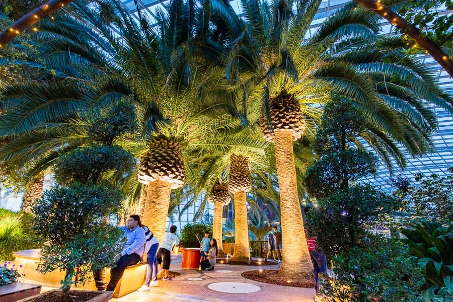 【新加坡濱海灣花園景點】天空樹、空中步道、花穹、霧林溫室怎麼玩（含門票與交通攻略）