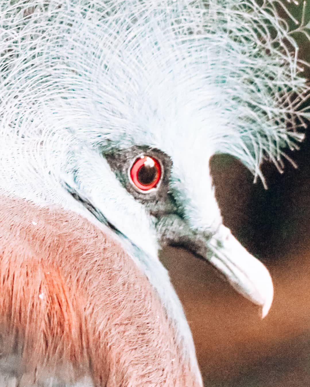 101 Date Ideas in Houston: Romantic Things To Do in Houston