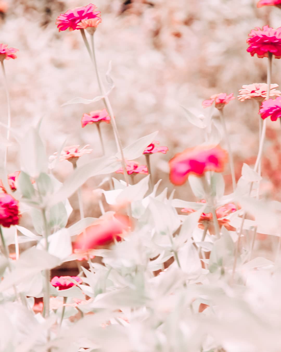 101 Date Ideas in Houston: Romantic Things To Do in Houston