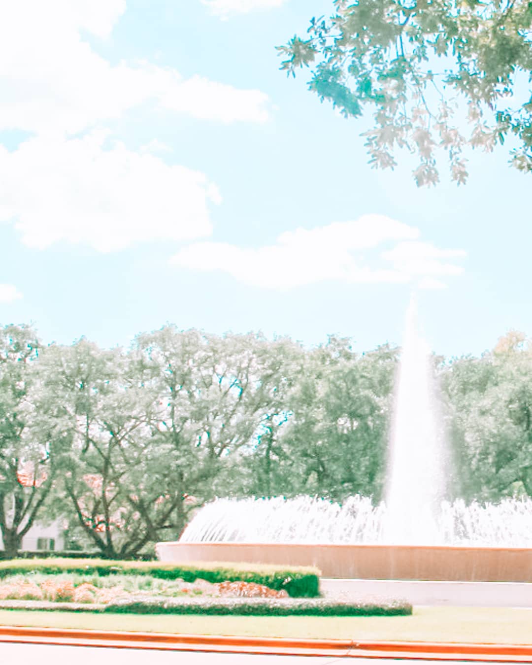 101 Date Ideas in Houston: Romantic Things To Do in Houston