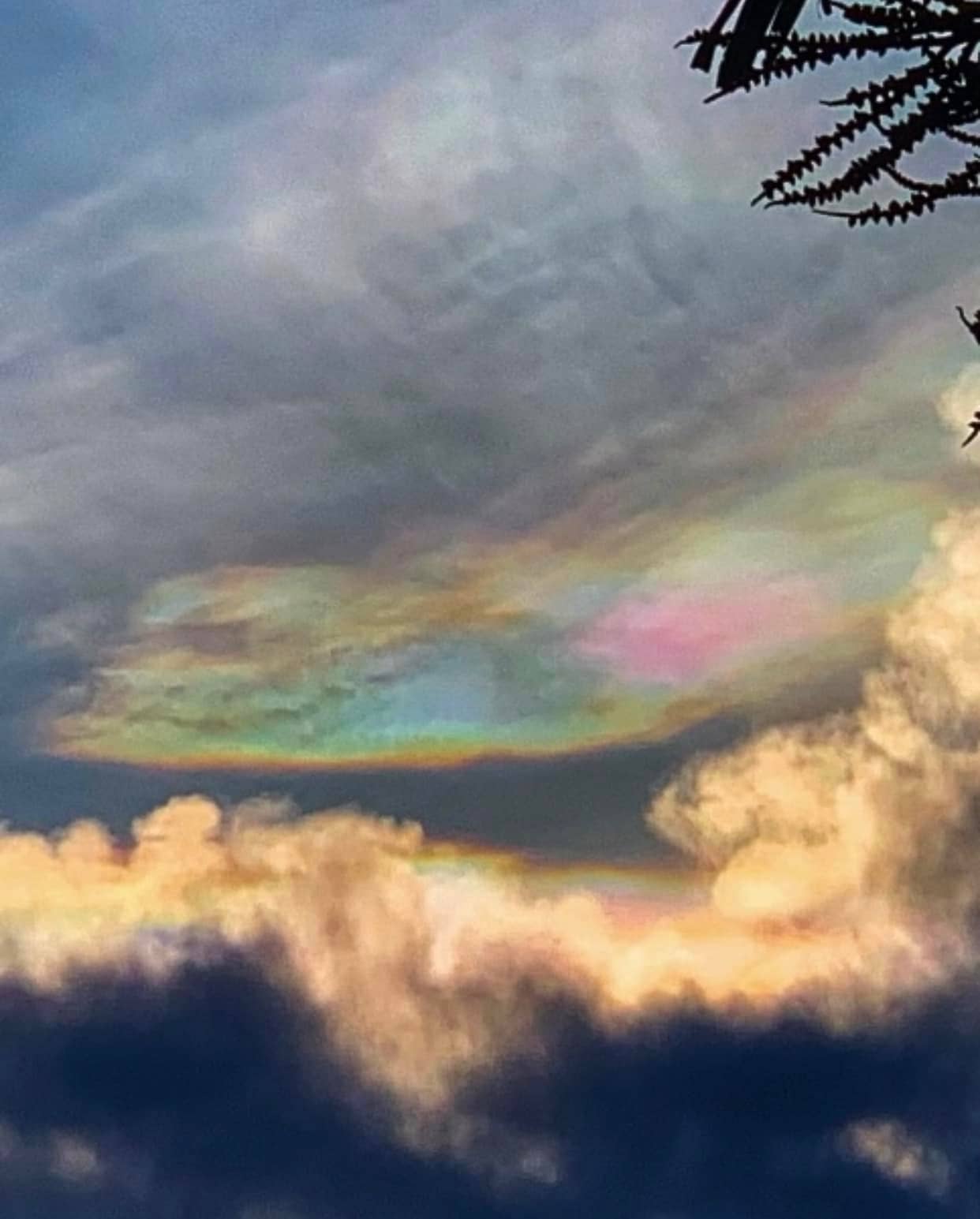Phenomenal iridescent clouds spotted around S'pore on May 24