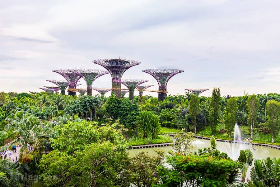 【新加坡濱海灣花園景點】天空樹、空中步道、花穹、霧林溫室怎麼玩（含門票與交通攻略）