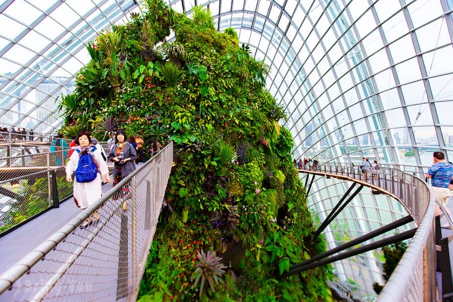 【新加坡濱海灣花園景點】天空樹、空中步道、花穹、霧林溫室怎麼玩（含門票與交通攻略）