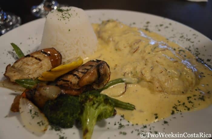 Monteverde: A Forest in the Clouds