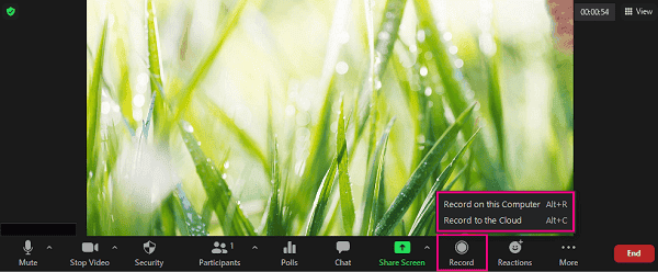 Zoom Cloud Recordings