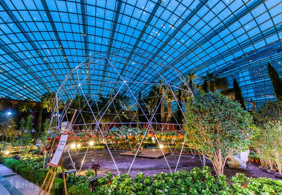 【新加坡濱海灣花園景點】天空樹、空中步道、花穹、霧林溫室怎麼玩（含門票與交通攻略）