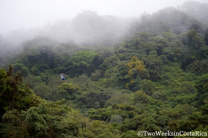 Monteverde: A Forest in the Clouds