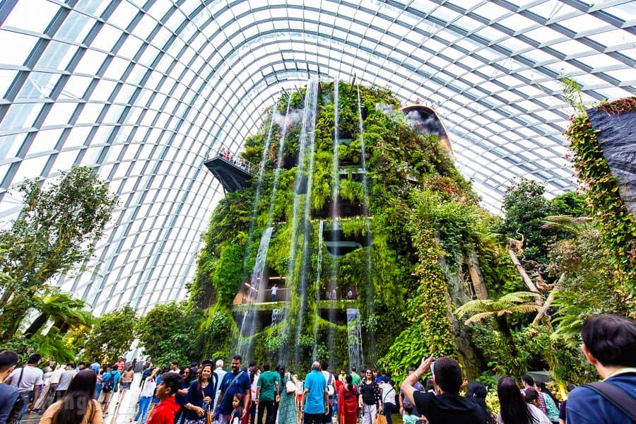 【新加坡濱海灣花園景點】天空樹、空中步道、花穹、霧林溫室怎麼玩（含門票與交通攻略）