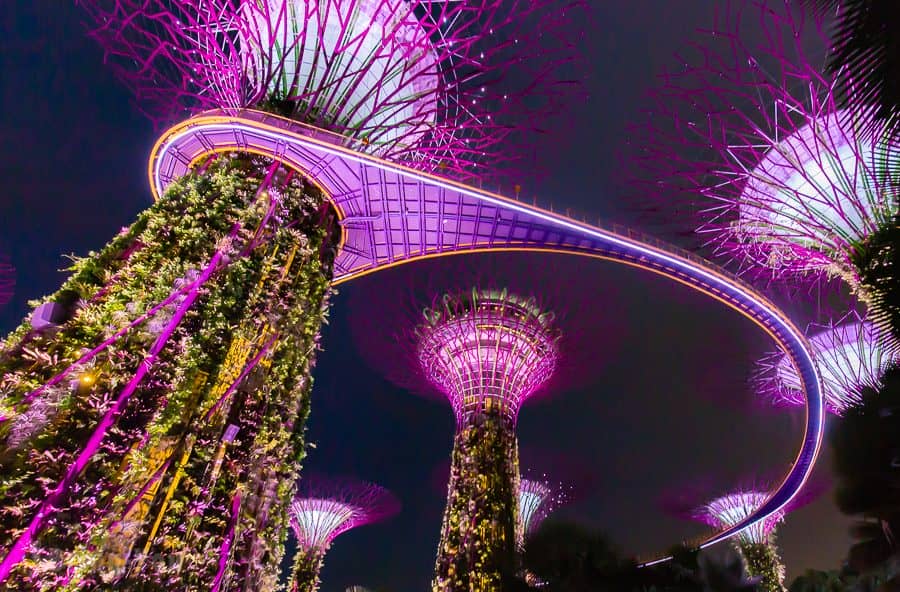 【新加坡濱海灣花園景點】天空樹、空中步道、花穹、霧林溫室怎麼玩（含門票與交通攻略）